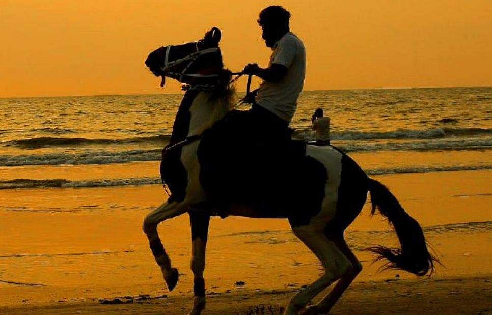 കടല്‍ കാണാനെത്തിയ മൂന്നുവയസ്സുകാരന്റെ ജനനേന്ദ്രിയത്തില്‍ കുതിര കടിച്ചു; ആശുപത്രിയില്‍