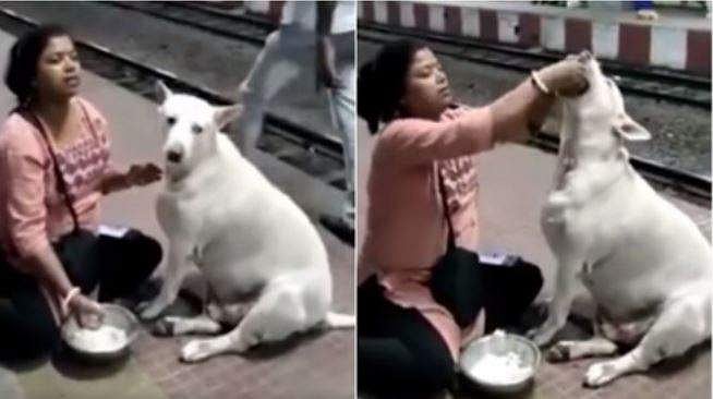 ഉരുളകളാക്കി തൈര് സാദം വായിൽ കൊടുത്ത് യുവതി; അനുസരണയോടെ കഴിക്കുന്ന തെരുവു നായ 'കുട്ടൂസ്'- ഹൃദയം തൊടും കാഴ്ച (വീഡിയോ)