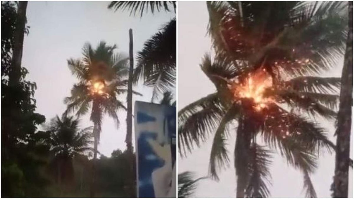 ഇടിമിന്നലേറ്റ് തെങ്ങ് നിന്നു കത്തി; തീപ്പൊരി ചിതറി; തൊട്ടടുത്ത് പെട്രോള് പമ്പ്; ഒഴിവായത് വൻദുരന്തം ( വീഡിയോ)