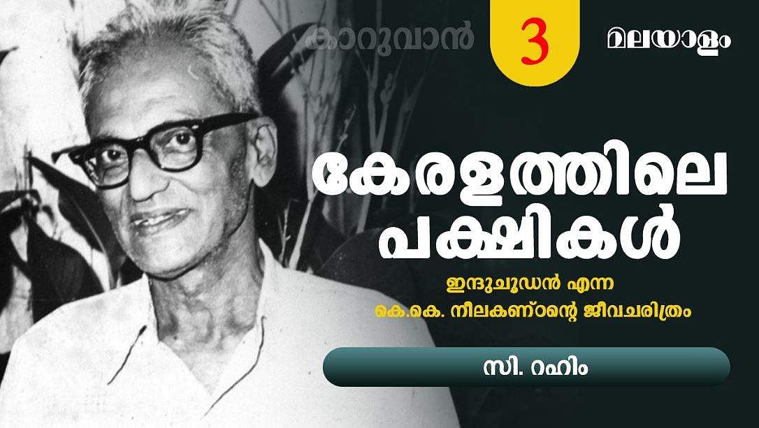 'പെലിക്കന്‍ കൂടുകെട്ടുന്നത് കാണാനുള്ള അസുലഭ ഭാഗ്യം സിദ്ധിച്ച അപൂര്‍വ്വം പ്രകൃതി നിരീക്ഷകരില്‍ ഒരാളാണ് ഞാന്‍'