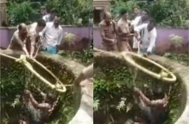 വളർത്തുപൂച്ച കിണറ്റിൽ വീണു,  രക്ഷിക്കാനിറങ്ങിയ വൃദ്ധനും കുടുങ്ങി; ഒടുവിൽ ഫയർഫോഴ്‌സ് എത്തി 
