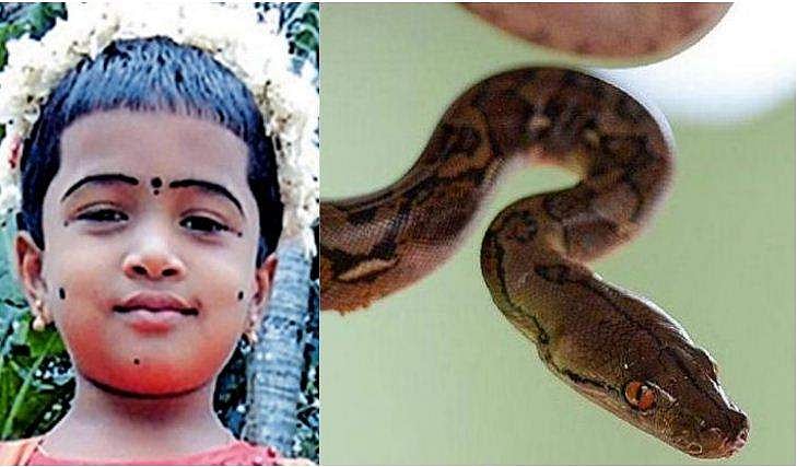 മദ്യപിച്ചെത്തിയ അച്ഛനെ പേടിച്ച് തോട്ടത്തിൽ ഒളിച്ചു, നാലുവയസുകാരി പാമ്പുകടിയേറ്റു മരിച്ചു
