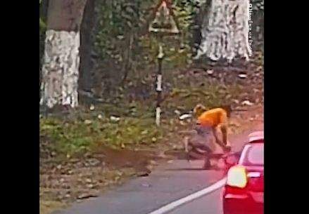 സൈക്കിള്‍ ചവിട്ടുന്നതിനിടെ പുലി കുതിച്ചു ചാടി; രക്ഷപ്പെട്ടത് തലനാരിഴയ്ക്ക് - വീഡിയോ 