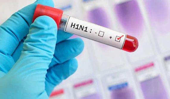 പന്നിപ്പനി: രോഗവും ലക്ഷണങ്ങളും; ശ്രദ്ധിക്കേണ്ട കാര്യങ്ങൾ അറിയാം 