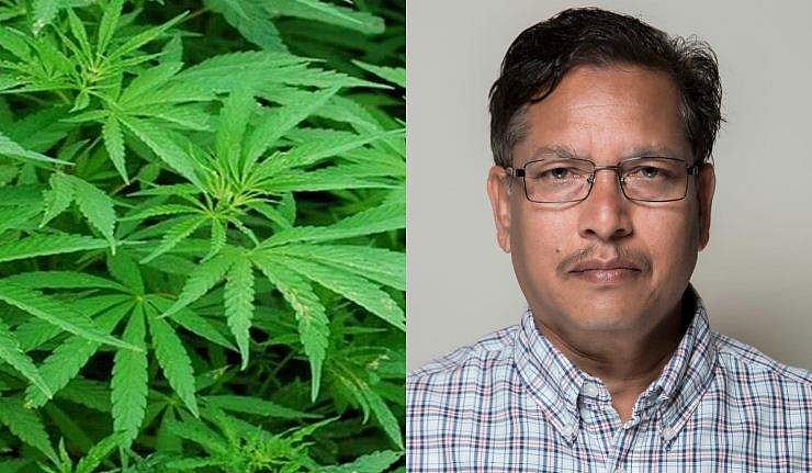 'മദ്യം നിരോധിച്ച് കഞ്ചാവ് പ്രോത്സാഹിപ്പിക്കണം'; നിർദേശവുമായി ബിജെപി എംഎൽഎ, വിവാദം