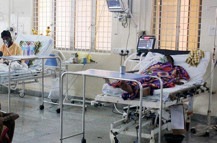 കാസര്‍കോട് രണ്ടുപേര്‍ക്ക് പന്നിപ്പനി; ജാ​ഗ്രതാ നിർദേശം