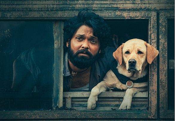"ഞങ്ങളുടെ ലാഭത്തിന്റെ ഒരു പങ്ക് മൃ​ഗക്ഷേമത്തിനായി പ്രവർത്തിക്കുന്നവർക്ക്": 777 ചാർലി വിജയം, നന്ദി അറിയിച്ച് രക്ഷിത് ഷെട്ടി 
