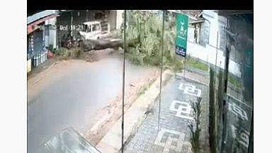 നടന്നുപോകുന്നതിനിടെ വന്‍മരം കടപുഴകി വീണു, കുഞ്ഞുമോന്‍ രക്ഷപ്പെട്ടത് തലനാരിഴയ്ക്ക് - വീഡിയോ 