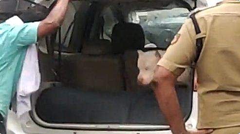 പൊലീസ് സ്റ്റേഷനില്‍ നായയുമായി എത്തി പരാക്രമം; പൊലീസുകാരനെ ചവിട്ടി വീഴ്ത്തി; മധ്യവയസ്‌കന്‍ അറസ്റ്റില്‍ ( വീഡിയോ)