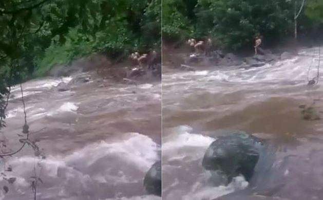 പുഴയിൽ കുളിക്കാനിറങ്ങി; അപ്രതീക്ഷിത മലവെള്ളപ്പാച്ചിലിൽ കുടുങ്ങി; ഒടുവിൽ...