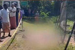 കാവല്‍ കിടക്കാന്‍ എത്തി; പാലക്കാട് വൈദ്യുതി വേലിയില്‍ നിന്ന് ഷോക്കേറ്റ് തൊഴിലാളി മരിച്ചു