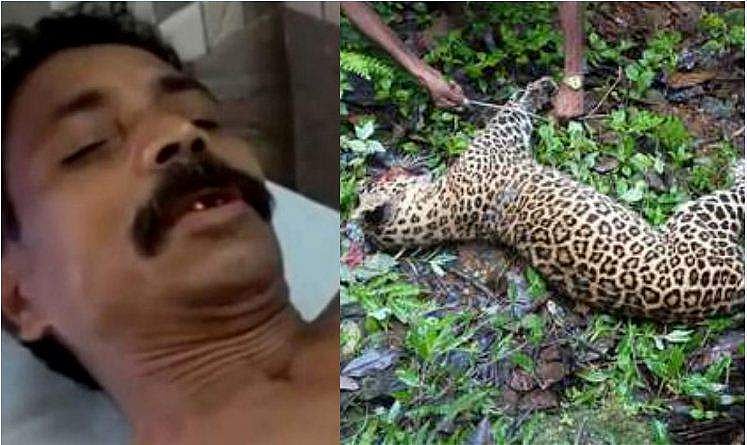 'പുലി ​ഗോപാലന്' കര്‍ഷകവീരശ്രീ അവാര്‍ഡ്; 5000 രൂപ ചികിത്സാധനസഹായം നൽകി വനംവകുപ്പ്