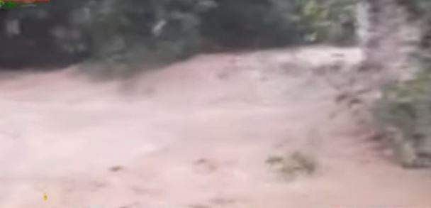 വിതുരയില്‍ മലവെള്ളപ്പാച്ചിലില്‍ കാര്‍ ഒലിച്ചുപോയി; അപകടത്തില്‍പ്പെട്ടത് വെള്ളച്ചാട്ടം കാണാന്‍ എത്തിയവര്‍