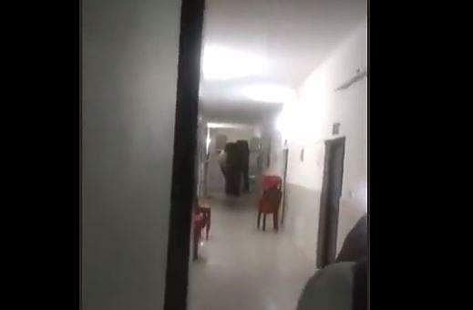 ആശുപത്രി വാര്‍ഡില്‍ കാട്ടാനകളുടെ 'മിന്നല്‍ പരിശോധന'; അമ്പരപ്പ്- വീഡിയോ 