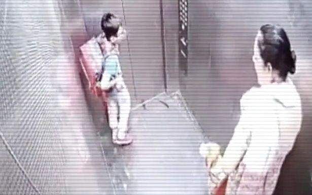 കുട്ടിക്ക് ലിഫ്റ്റിനുള്ളില്‍ വെച്ച് നായയുടെ കടിയേറ്റു; ഉടമയായ സ്ത്രീക്ക് 5000 രൂപ പിഴയിട്ട് കോര്‍പ്പറേഷന്‍, കേസ്