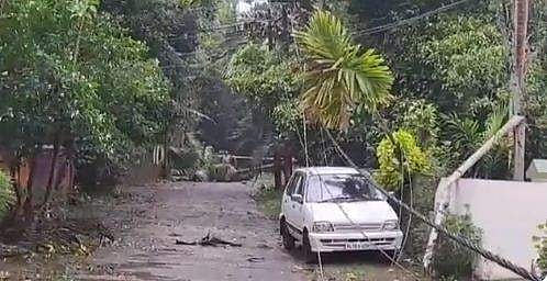 തൃശൂരില്‍ വീണ്ടും മിന്നല്‍ ചുഴലി; വ്യാപകനാശനഷ്ടം; മരങ്ങളും വൈദ്യുതി പോസ്റ്റുകളും കടപുഴകി ( വീഡിയോ)