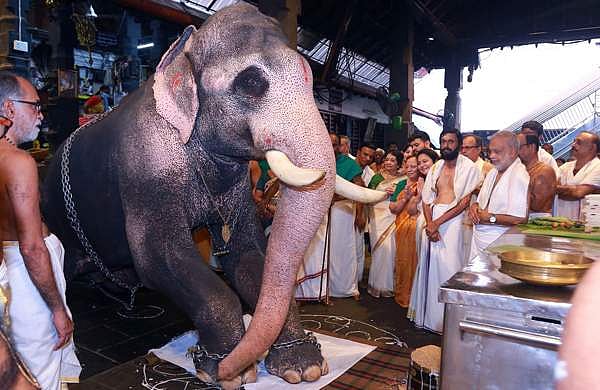 ​ഗുരുവായൂരിൽ ആനയെ പ്രതീകാത്മകമായി നടയിരുത്തി
