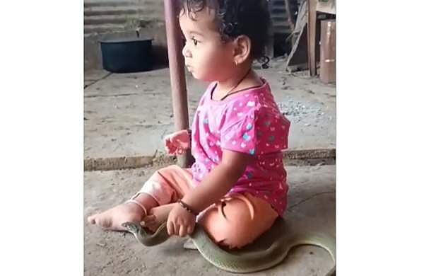 അവിടെ ആരുമില്ലേ?; പാമ്പുമായി കളിക്കുന്ന പിഞ്ചു കുഞ്ഞ്- വീഡിയോ 