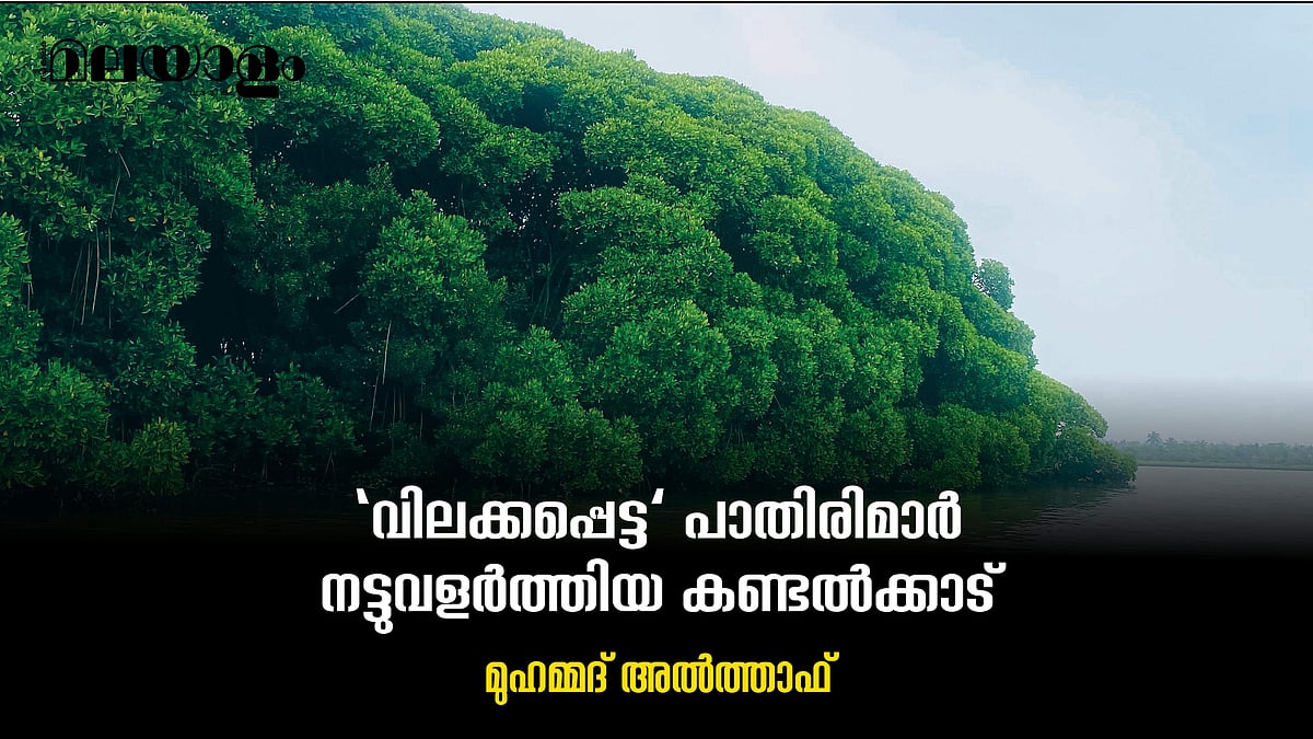 പാതിരിമാര്‍ നട്ടുവളര്‍ത്തിയ ചേറ്റുവയിലെ കണ്ടല്‍ക്കാട്
