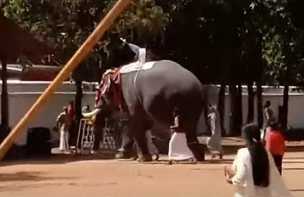 കുന്നംകുളം മങ്ങാട് പൂരത്തിനിടെ ആന ഇടഞ്ഞു, പാപ്പാനെ കുത്തി വലിച്ചെറിഞ്ഞു; വൈക്കത്ത് ആന റോഡിലേക്ക് ഇറങ്ങിയോടി