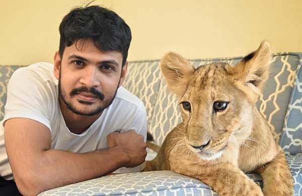 മല്ലു ട്രാവലര്‍ക്കെതിരെ പോക്‌സോ കേസ്;  പൊലീസ് നടപടി ആദ്യഭാര്യയുടെ പരാതിയില്‍