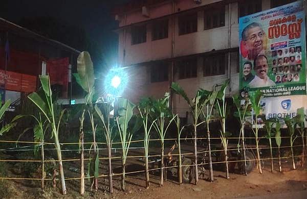 നവകേരള സദസ് വേദിക്കരികെ 21 വാഴ വെച്ച് പ്രതിഷേധം; രാവിലെ വെട്ടിയരിഞ്ഞ നിലയിൽ