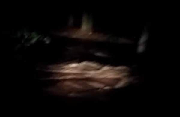 10 മണിക്കൂറിലേറെ നീണ്ട രക്ഷാപ്രവര്‍ത്തനം;  കൊല്ലത്ത് വനത്തില്‍ കുടുങ്ങിയ വിദ്യാര്‍ത്ഥികളെയും അധ്യാപകരെയും രക്ഷപ്പെടുത്തി