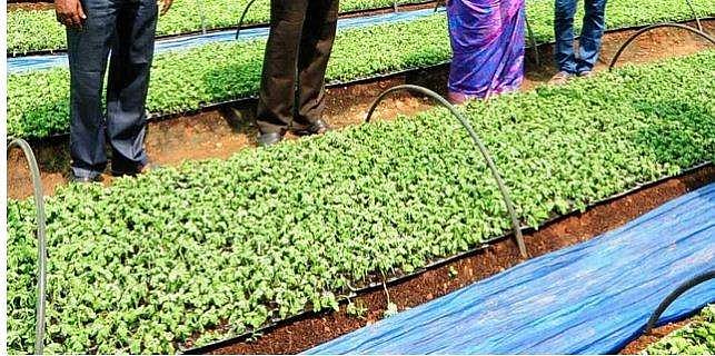 ആധുനിക കൃഷി രീതികൾ പഠിക്കാൻ ഉദ്യോ​ഗസ്ഥ-കർഷക സംഘം ഇന്ന് ഇസ്രായേലിലേക്ക്; മന്ത്രി പോകുന്നില്ല