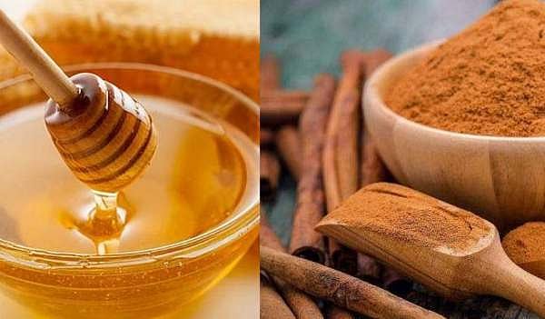 കറുവപ്പട്ടയും തേനും ചേര്‍ത്ത വെള്ളം; വയറിലെ കൊഴുപ്പിനോട് ഇനി ഗുഡ്‌ബൈ പറയാം 