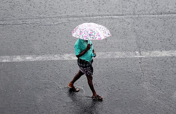 കാലവർഷം ശക്തമാകുന്നു; ഇന്ന് ഏഴ് ജില്ലകളിൽ യെല്ലോ അലർട്ട്, ഇടിമിന്നലിനും ശക്തമായ കാറ്റിനും സാധ്യത