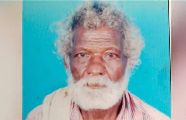 അട്ടപ്പാടിയിൽ വീണ്ടും കാട്ടാന ആക്രമണം; കശുവണ്ടി പെറുക്കാൻ പോയ വൃദ്ധനെ ചവിട്ടിക്കൊന്നു 