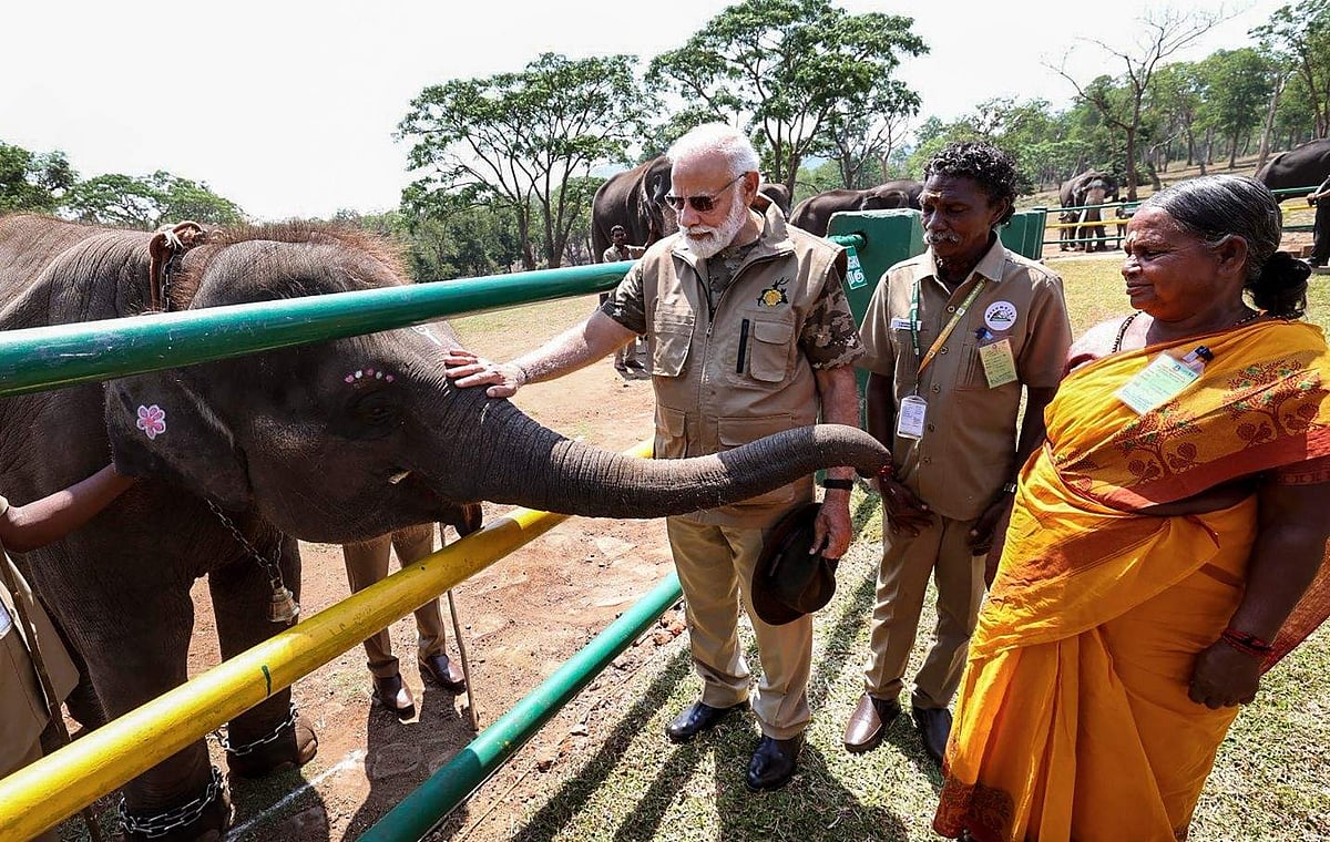 രാജ്യത്തെ വന്യജീവി സംരക്ഷണ കേന്ദ്രങ്ങൾ സന്ദർശിച്ച് പ്രധാനമന്ത്രി നരേന്ദ്ര മോദി; ചിത്രങ്ങളിലൂടെ