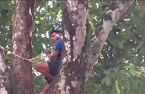 കള്ളക്കേസില്‍ കുടുക്കിയ വനംവകുപ്പ് ഉദ്യോഗസ്ഥരെ അറസ്റ്റ് ചെയ്യണം: മരത്തില്‍ കയറി ആദിവാസി യുവാവിന്റെ ആത്മഹത്യാഭീഷണി 