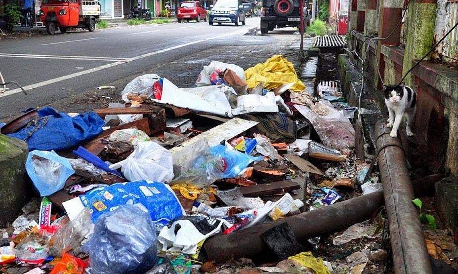 മാലിന്യം വലിച്ചെറിഞ്ഞാൽ ഒരു വർഷം വരെ തടവ്, 50000 രൂപ പിഴ; ഓർഡിനൻസിന് അം​ഗീകാരം