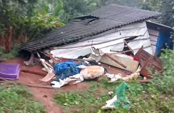 ചിന്നക്കനാലില് വീണ്ടും കാട്ടാന ആക്രമണം; ഷെഡ് തകര്ത്തു