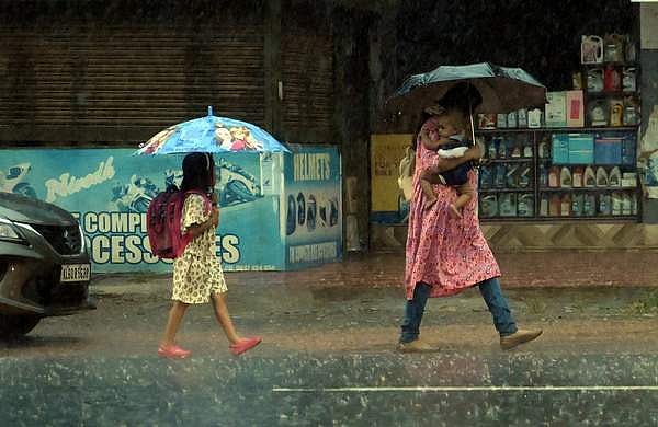 മഴ കനക്കുന്നു, നാളെ ഏഴ് ജില്ലകളിൽ മുന്നറിയിപ്പ്; ഇടിമിന്നലും ശക്തമായ കാറ്റും, ജാഗ്രതാ നിർദേശങ്ങൾ 