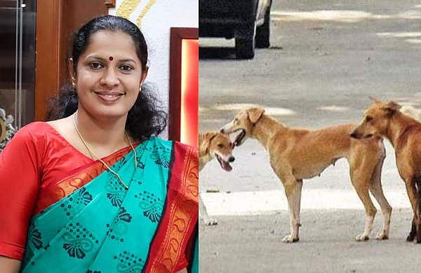 തെരുവ് നായ്ക്കളെ കൊല്ലാൻ സുപ്രീംകോടതിയെ സമീപിച്ചു; കണ്ണൂർ ജില്ലാ പഞ്ചായത്ത് പ്രസിഡന്റിന് വധഭീഷണി, പരാതി
