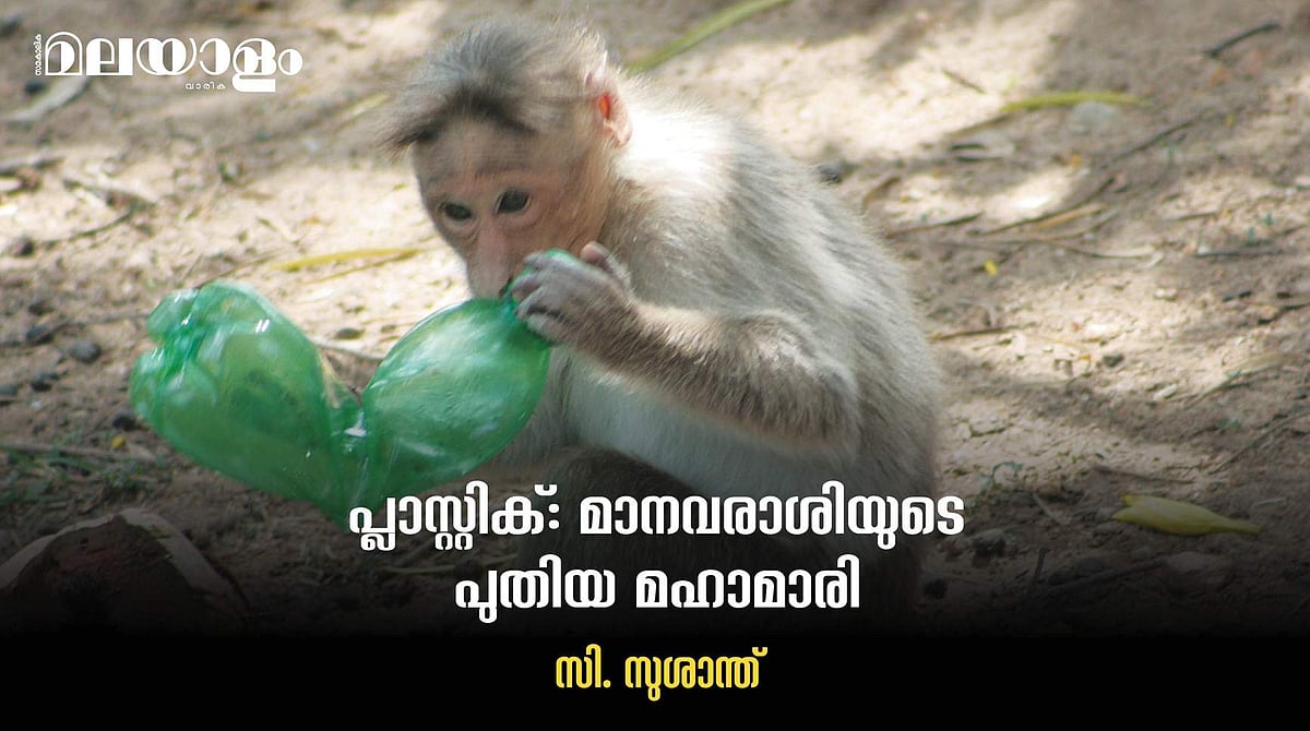 നാം ഉപയോഗിച്ച് വലിച്ചെറിയുന്ന പ്ലാസ്റ്റിക് ഏല്പിക്കുന്ന ക്ഷതം അത്ര നിസ്സാരമല്ല...