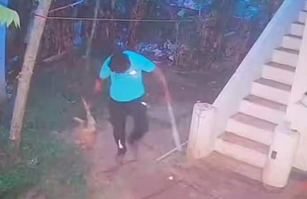 അമ്മയെ കടിച്ചു; വളർത്തുനായയെ വീട്ടിൽ കയറി തല്ലിക്കൊന്ന് യുവാക്കൾ; പരാതി