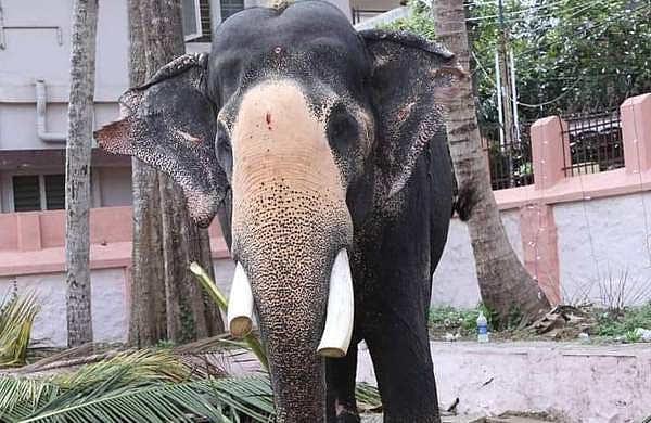 ശ്രീകണ്ഠേശ്വരം ശിവകുമാർ ചരിഞ്ഞു