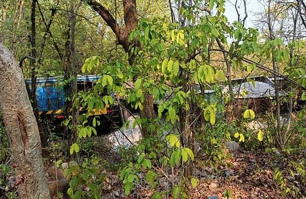 ഒഡീഷയില്‍ വീണ്ടും തീവണ്ടി അപകടം; ഗുഡ്‌സ് ട്രെയിന്‍ പാളം തെറ്റി ( വീഡിയോ)