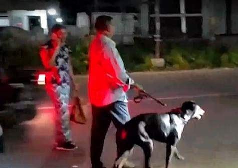 മദ്യം, കഞ്ചാവ് ലഹരി; റോഡിലേക്ക് ബിയർ കുപ്പി വലിച്ചെറിഞ്ഞു; ബൈക്ക് ഇടിച്ചു വീഴ്ത്തി; കൂറ്റൻ നായയെ ഇറക്കി കാർ യാത്രികന്റെ അഴിഞ്ഞാട്ടം