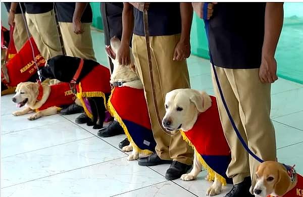 പൊലീസ് നായയെ വാങ്ങിയതില്‍ അഴിമതി; ഡോഗ് സ്‌ക്വാഡ് നോഡല്‍ ഓഫീസര്‍ക്ക് സസ്‌പെന്‍ഷന്‍