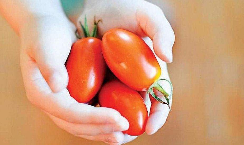 പിറന്നാള്‍ സമ്മാനം ഒരു കുട്ട തക്കാളി; ഏറ്റെടുത്ത് സോഷ്യല്‍ മീഡിയ