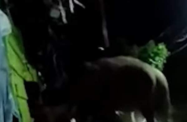 അരി തേടിയെത്തി പടയപ്പയും; ലയത്തിന്റെ വാതിലും ജനലും തകര്‍ത്ത് കാട്ടുകൊമ്പന്‍