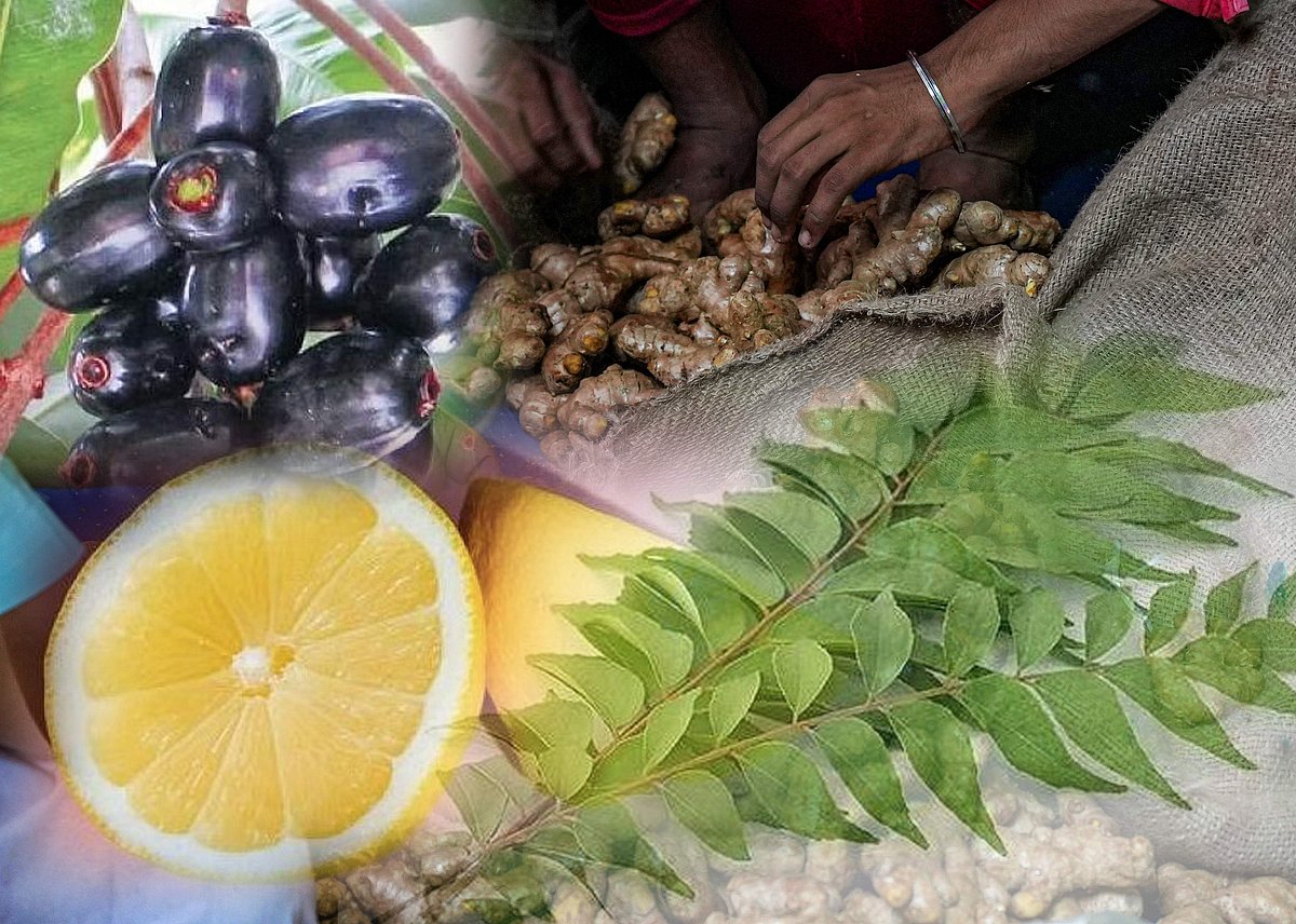 മഴക്കാലമാണ് ആരോഗ്യം മറക്കരുത്; ഞാവല്‍ പഴം മുതല്‍ നാരങ്ങ വരെ, കഴിക്കാം ഇവ 