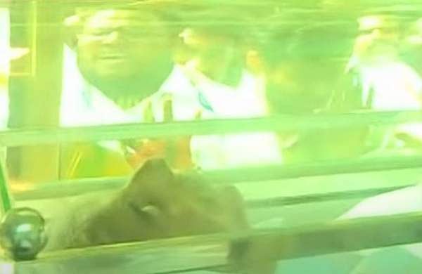 അവസാനയാത്രയ്ക്കായി ഉമ്മന്‍ചാണ്ടി തിരുവനന്തപുരത്ത്; അന്ത്യാഞ്ജലി അര്‍പ്പിക്കാന്‍ ജനസാഗരം