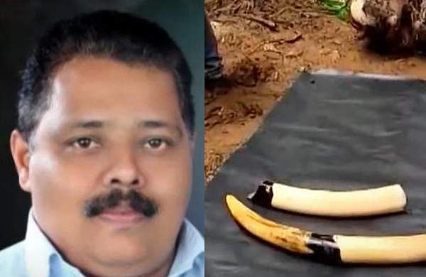 കാട്ടാനയെ കൊന്ന് കുഴിച്ചിട്ടു, കൊമ്പ് മുറിച്ച് വിൽക്കാൻ ശ്രമം; ഒന്നാം പ്രതിയായ തോട്ടം ഉടമയും സഹായിയും കീഴടങ്ങി