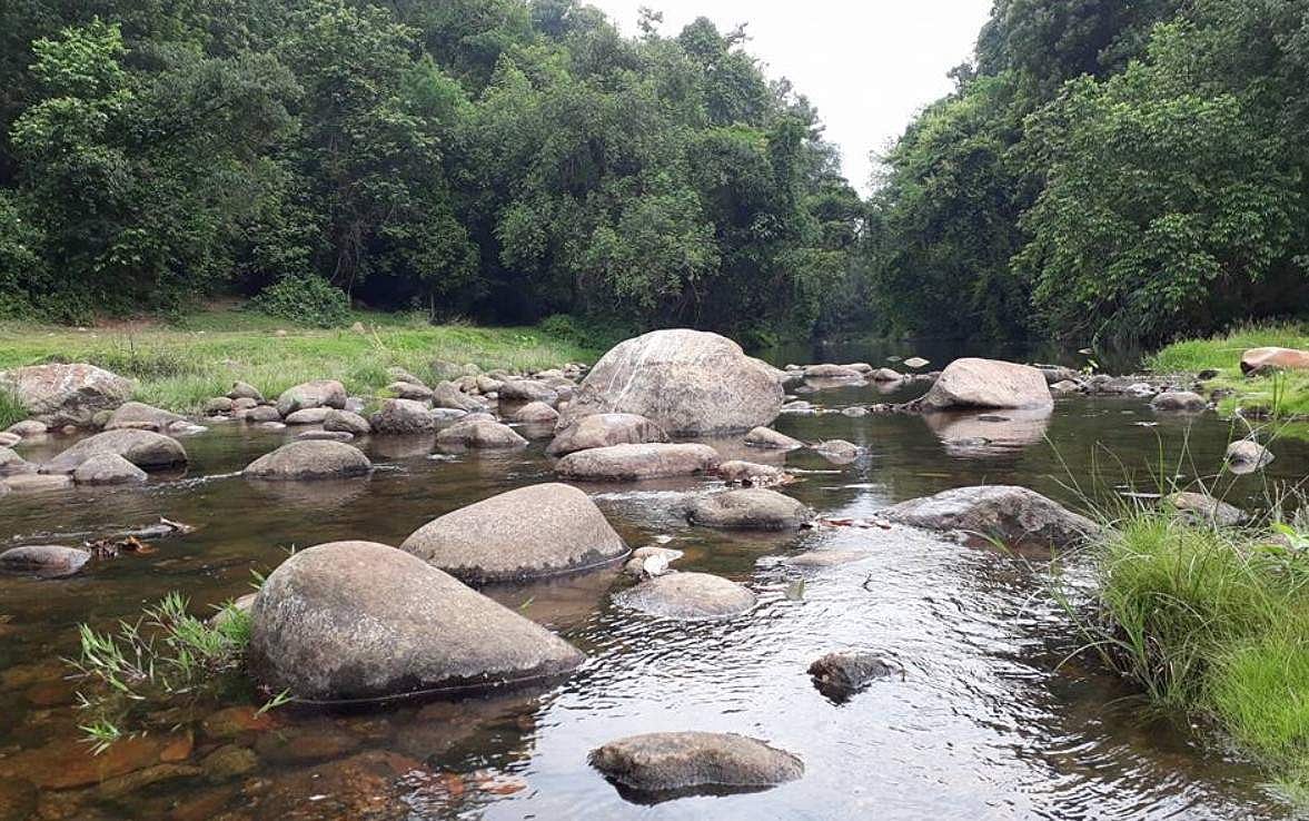 വയനാട്ടില് മലയോര പ്രദേശങ്ങളിലേക്കുള്ള ട്രക്കിംഗ് പൂര്ണമായി നിരോധിച്ചു; ക്വാറികളുടെ പ്രവര്ത്തനത്തിനും വിലക്ക്