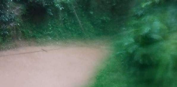കുളത്തില്‍ കുളിക്കാനിറങ്ങി; പെണ്‍കുട്ടി ചെളിയില്‍ താഴ്ന്നു മരിച്ചു